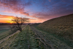 Maiden Castle Sunrise in March, Dorset