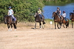 WJ6_7774