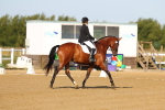 SBM_010557