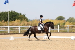 SBM_004923