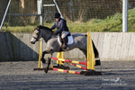 Bourne Valley Riding Club Winter Showjumping 27/03/22 portfolio
