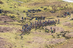 Elterwater-308