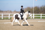 SBM_002009
