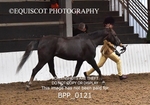 BPP_0121