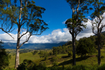 Mt Warning portfolio
