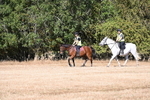 WJ6_7281