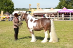 SBM_08834