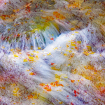 Autumn River Song