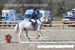 BPP_9765