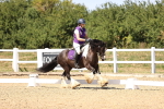 SBM_012319