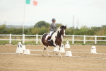 SBM_007128