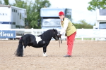 SBM_00254