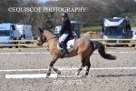 BPP_9735