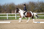 SBM_004406