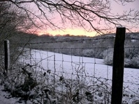 Landscapes portfolio