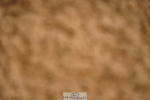 240526A-125938-08212