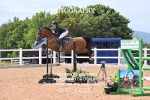 BPP_6628