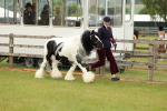 SBM_06269