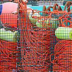 Lobster Buoys