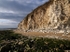 Flamborough Head