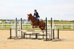 SBM_008651