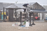 BPP_2536
