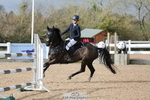 Cls 6 Pony Foxhunter & 1.10m Open portfolio