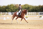 SBM_016865