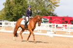 SBM_02619