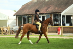 SBM_44629
