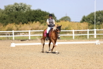 SBM_010414