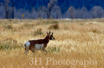 _DSC3756