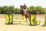 SBM_000508