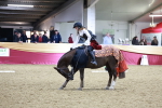 SBM_10293