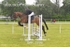BPP_3298