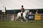 SBM_07584