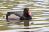 20140419-3K8A0441