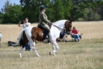 WJ7_2687
