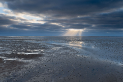 Stiffkey