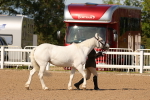 SBM_17867