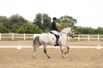 SBM_005499