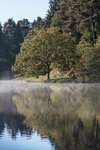 Misty Mallards Pike - 2