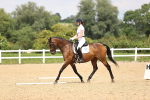 SBM_001966