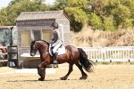 SBM_001485