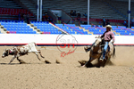 3HRodeo8-11-25_PRCASteer_03321_