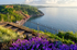 TQ218 _Springtime at Babbacombe Downs Torquay