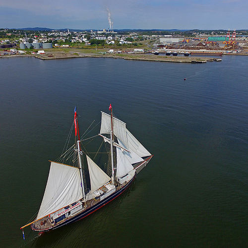 Wylde Swan Tall Ships Rendezvous 2017 Saint John New Brunswick Canada