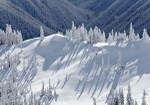 Winter - 4