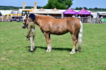 SBM_08077