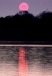 Red Moon at Veterans Park